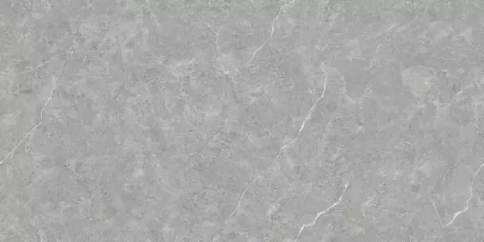 Напольная плитка «Neodom» Techno Matt Mica Tm Matt. 160x80 N20445 grigio