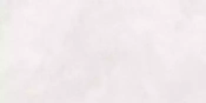 Напольная плитка «Neodom» Techno Matt Newport Matt. 160x80 N20544 white