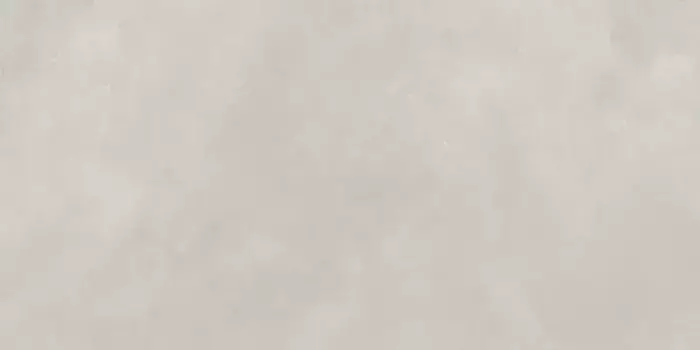 Напольная плитка «Neodom» Techno Matt Newport Matt. 160x80 N20545 gris