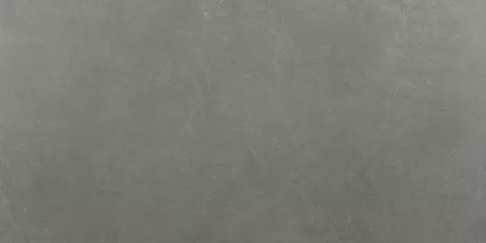 Напольная плитка «Pamesa» Basic Matt. 120х60 017.250.0161.13566 grey