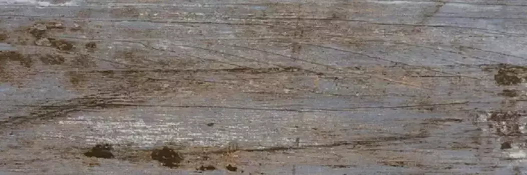 Напольная плитка «Pamesa» Castle Matt. 60х20 001.670.0343.02672 happy