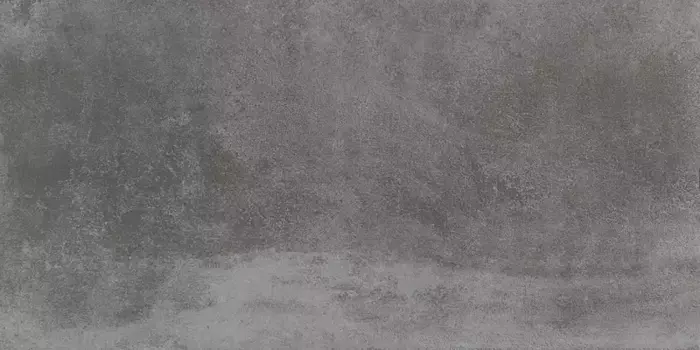 Напольная плитка «Pamesa» Essen Matt. 90х45 035.805.0139.00304 zircon