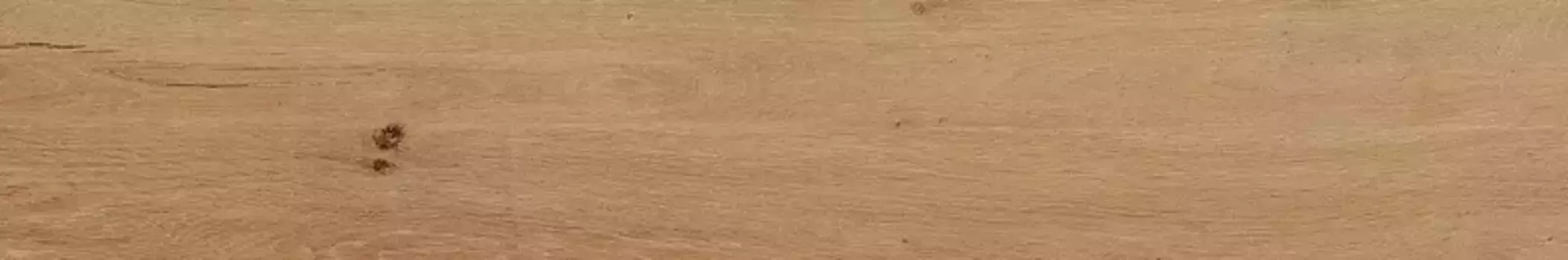 Напольная плитка «Pamesa» Grove Matt. 120х20 075.922.0370.11744 umber