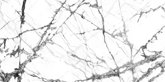 Напольная плитка «Pamesa» Lux Iceberg Polish. 120х60 046.869.0108.05163 white