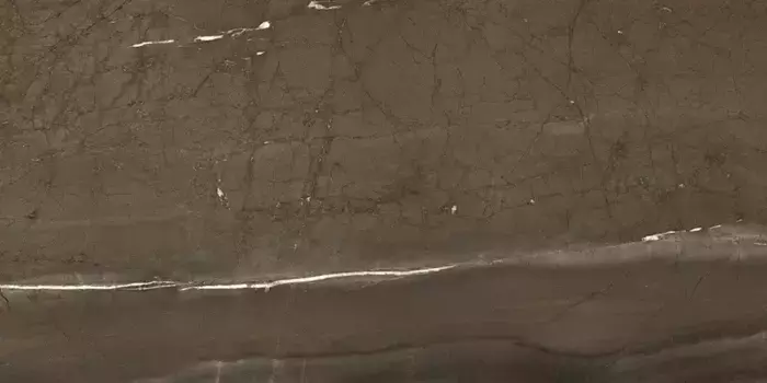 Напольная плитка «Pamesa» Lux Jatoba Polish. 120х60 046.869.0109.09565 brown