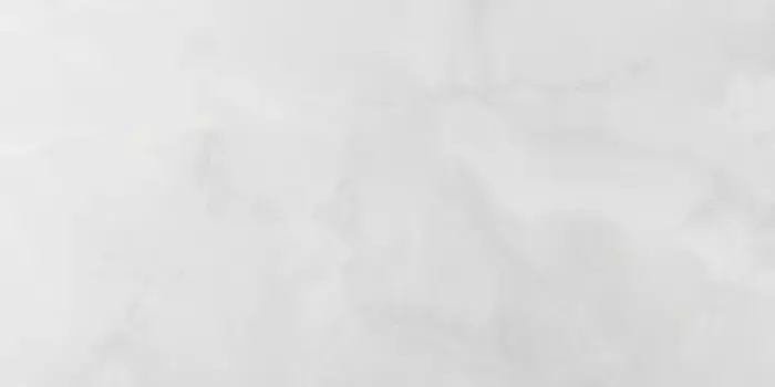 Напольная плитка «Pamesa» Lux Noor Polish. 120х60 004.869.0108.10744 white