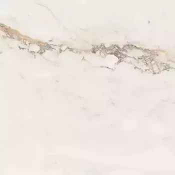 Напольная плитка «Pamesa» Pisa Polish. 60х60 004.840.0189.00145 gold