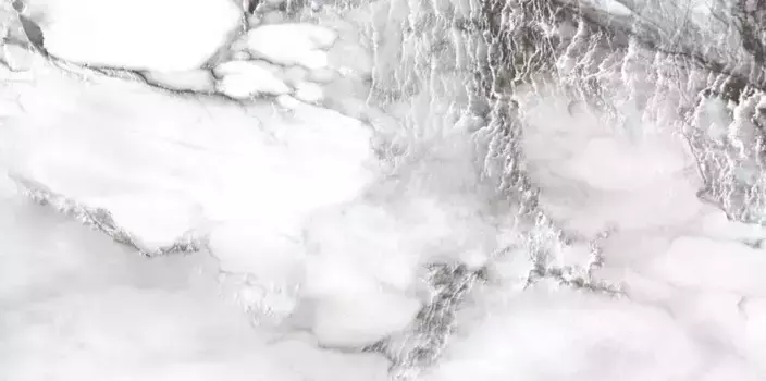 Напольная плитка «Primavera» Acacia Polish. 120x60 PR221 grey