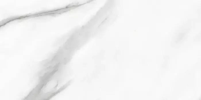 Напольная плитка «Primavera» Acothly Matt. 120x60 NR219