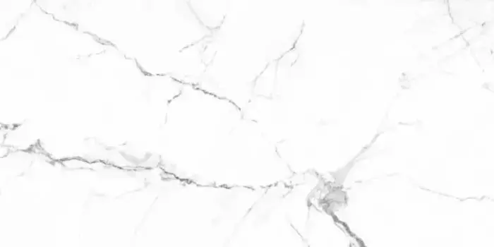 Напольная плитка «Primavera» Colonial Matt. 120x60 carving CR222 white