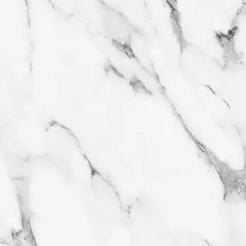 Напольная плитка «Primavera» Fantasy Polish. 60x60 PR127 black