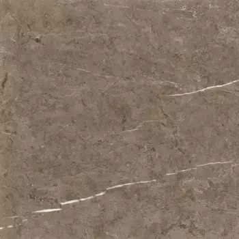 Напольная плитка «Primavera» Либекир Matt. 60x60 TP66M06 серый