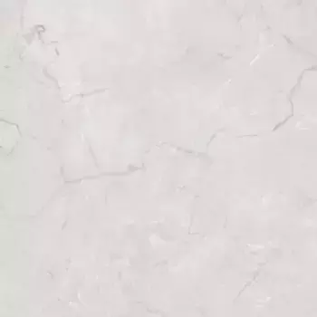 Напольная плитка «Primavera» Miracle Matt. 60x60 carving CR111 silver