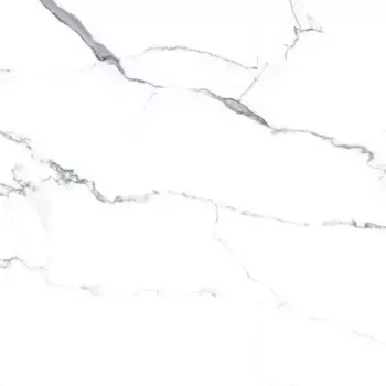Напольная плитка «Prissmacer» Statuarietto Matt. 60x60 78803092 white