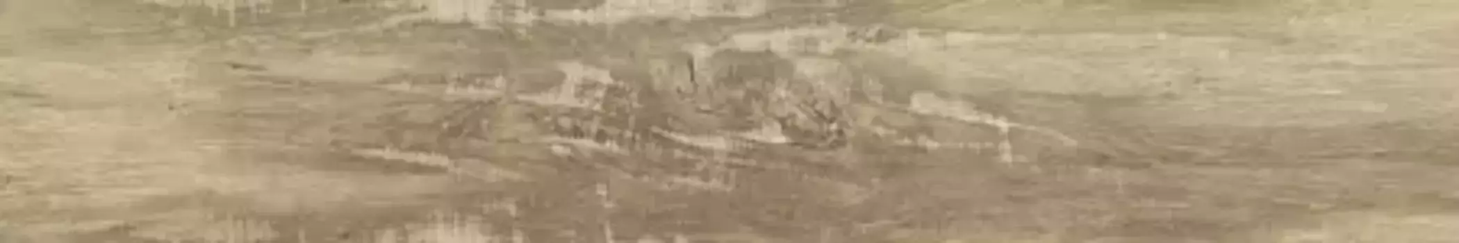 Напольная плитка «Ragno» Woodmania 120x20 00-00127856 honey