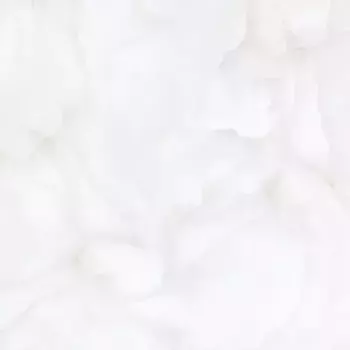 Напольная плитка «Realistik» Brais Glossy 60х60 76701 white