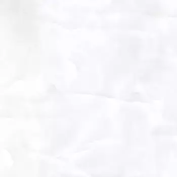 Напольная плитка «Realistik» Coin Glossy 60х60 76702 white