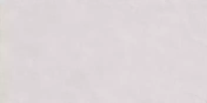 Напольная плитка «Realistik» Fog Matt. 120x60 carving 72071 blanco