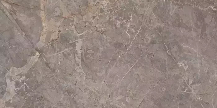 Напольная плитка «Realistik» Miltonia Glossy 120x60 74316 grey