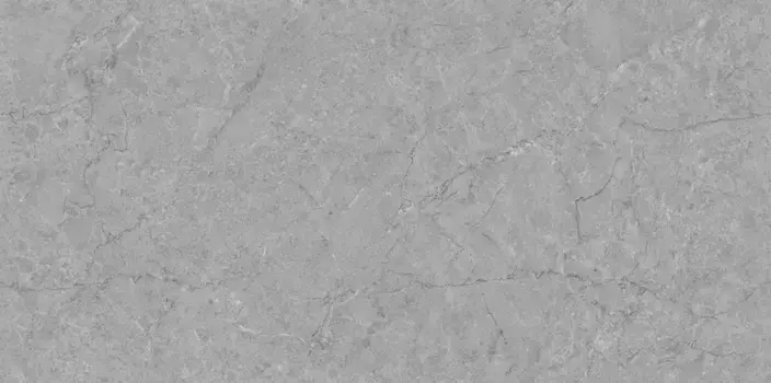 Напольная плитка «Realistik» Refine Expo Matt. 120x60 72091 grey