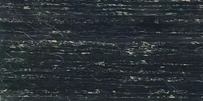 Напольная плитка «Rex» I Classici Di Rex Glossy 120x60 750914 Portoro