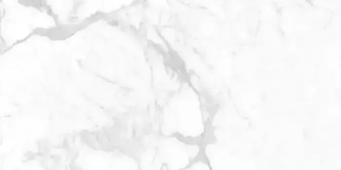 Напольная плитка «Staro» Palacio Proven Polish. 120х60 С0006056 белый