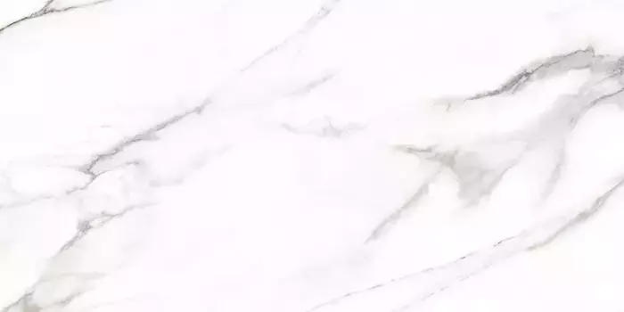 Напольная плитка «Staro» Palacio Sirenflow Polish. 120х60 С0006051 серый