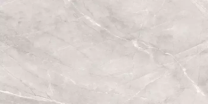 Напольная плитка «Staro» Silk Armani Matt. 120х60 С0005650 silver