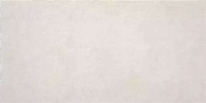 Напольная плитка «STN Ceramica» Pursue Matt. 120x60 923858 pearl