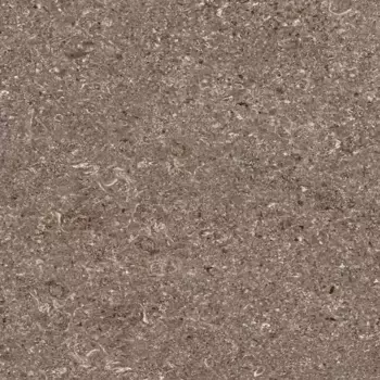 Напольная плитка «Тянь-Шань Керамик» Алькон Matt. 41x41 TP413625D серый