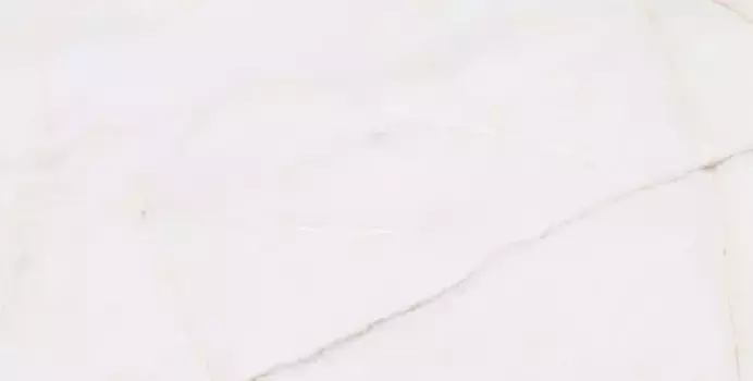 Напольная плитка «Undefasa» Essenza PW R 120x60