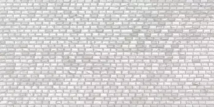 Настенная мозаика «Axima» Венеция 60x30 СК000038018 светло-серый