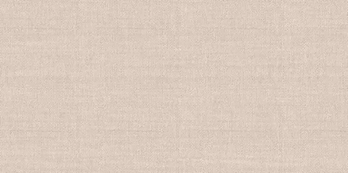 Настенная плитка «Alma Ceramica» Asteria 50x24,9 TWU09ATR044