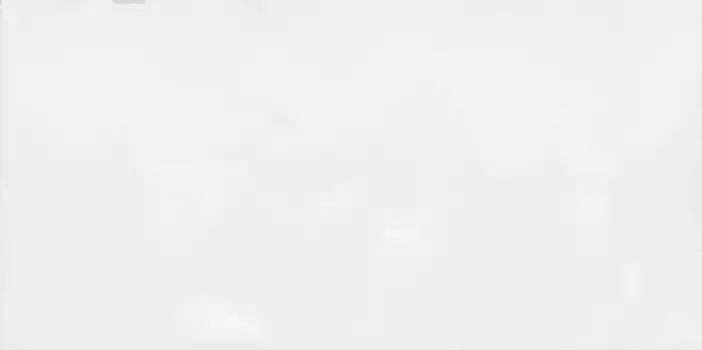 Настенная плитка «Alma Ceramica» Brenta 50x24,9 TWU09MNR030