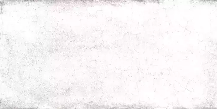 Настенная плитка «Alma Ceramica» Mattone 50x24,9 TWU09MTN007