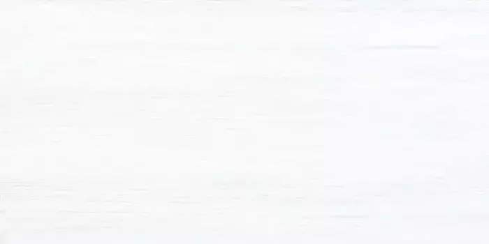 Настенная плитка «Alma Ceramica» North 50x24,9 TWU09NRT006