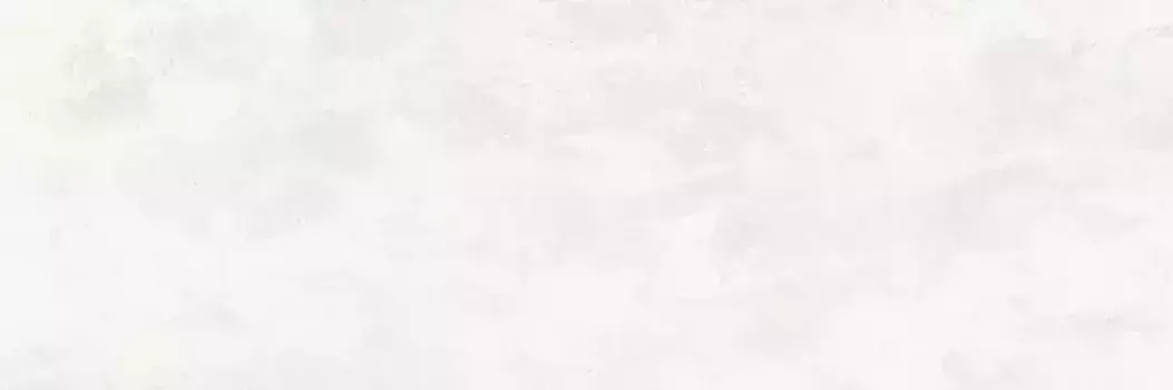 Настенная плитка «Alma Ceramica» Roxana 60x20 TWA11RXN024 белый