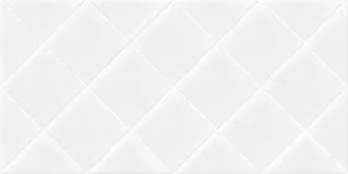 Настенная плитка «Alma Ceramica» Salvia 50x24,9 TWU09SVA000