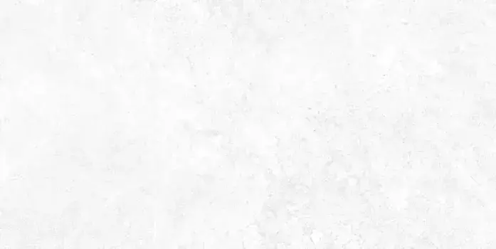 Настенная плитка «Alma Ceramica» Stone 50x24,9 TWU09TON000