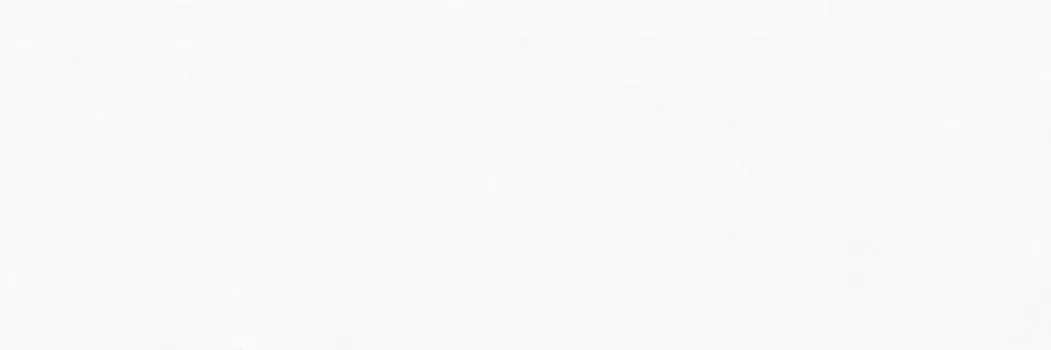 Настенная плитка «Alma Ceramica» Vilona 60x20 TWU11VLN000