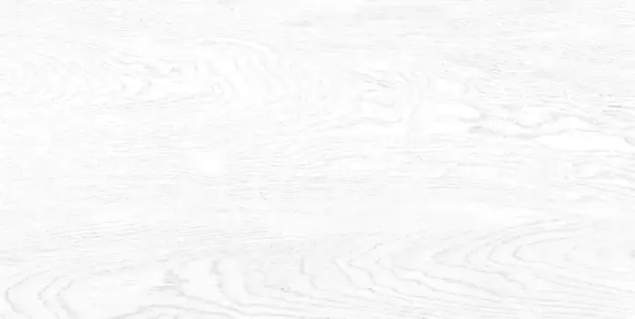 Настенная плитка «Alma Ceramica» Wood 50x24,9 TWU09WOD000