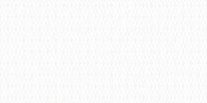 Настенная плитка «AltaCera» Eleganza 50x24,9 WT9ELZ00 White