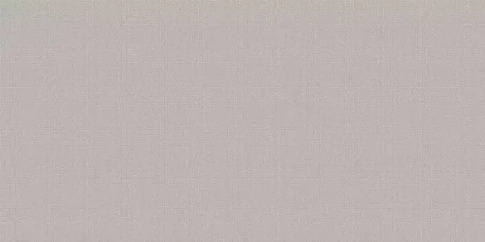 Настенная плитка «AltaCera» Megapolis Matt. 50x24,9 WT9MEG15 gray