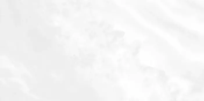 Настенная плитка «AltaCera» Palmira 50x24,9 WT9PAL00 light