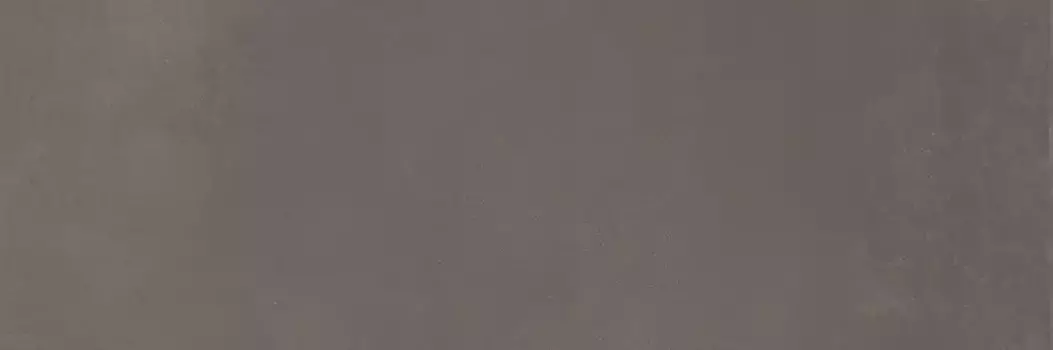 Настенная плитка «Argenta Ceramica» Gravity Matt. 60x20 iron