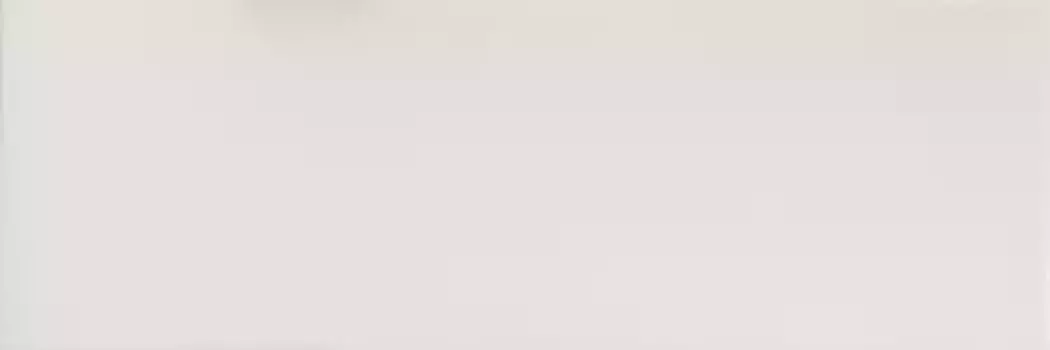 Настенная плитка «Ascot» New England XL 100x33,3 EG3310 bianco