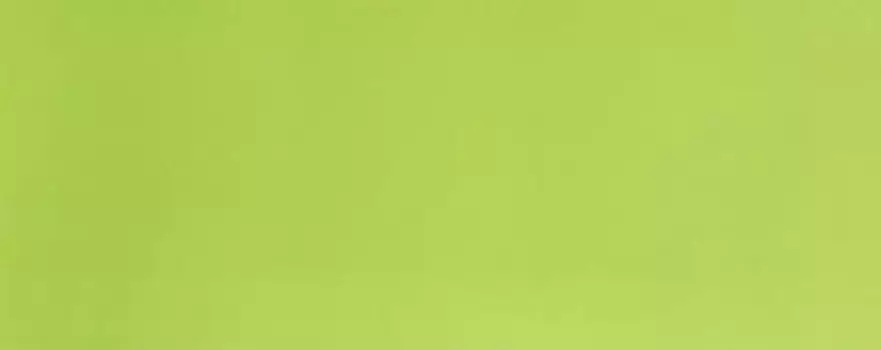 Настенная плитка «Azori» Палитра Matt. 50,5x20,1 00-00001911 зеленый