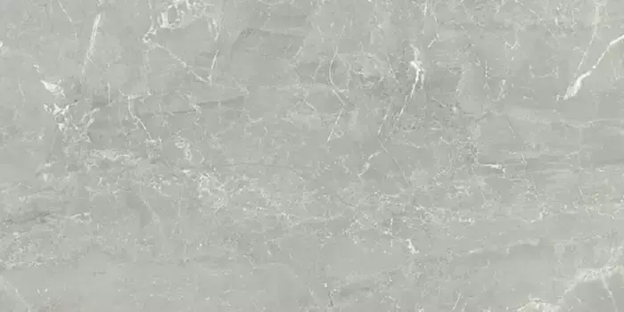 Настенная плитка «Ceramika Paradyz (Польша)» Afternoon Polish. 59,8x29,8 grys