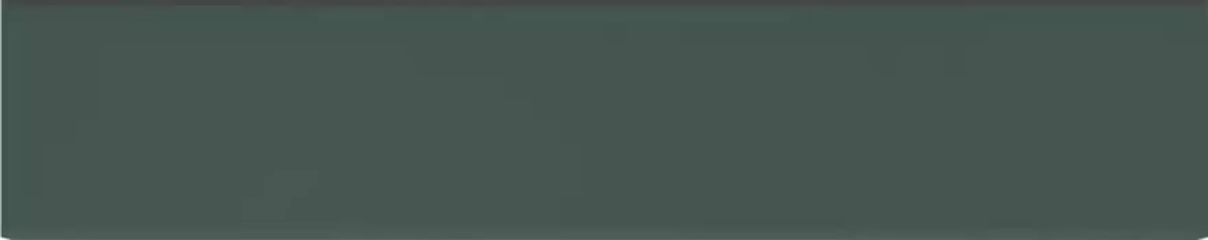 Настенная плитка «DNA Tiles» Plinto Matt. 54,2x10,7 78803279 green