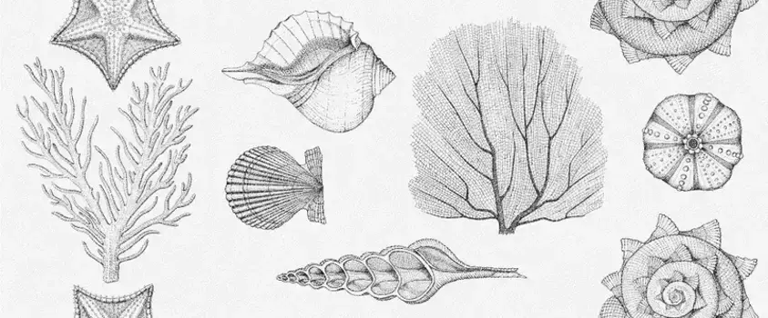 Настенная плитка «Gracia Ceramica» Aqua 01 Matt. 60х25 sugar effect СК000042658 white